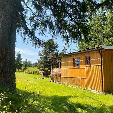 Of Nisici * Sarajevo