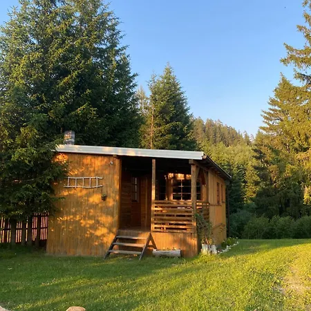 Of Nisici * 塞拉耶佛