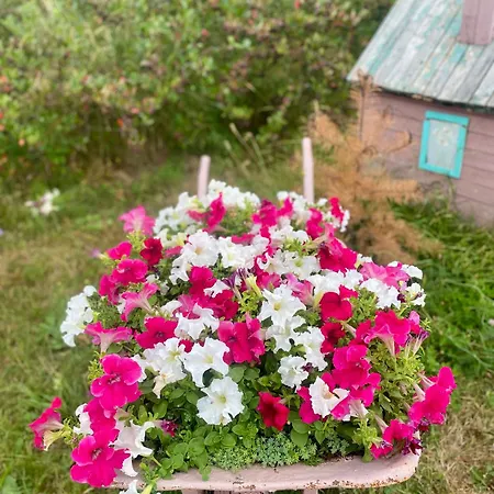 Horská chata Of Nisici