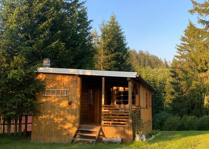 Of Nisici * 塞拉耶佛